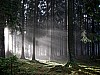 morgenspaziergang 2 - (c) e rockstroh.jpg